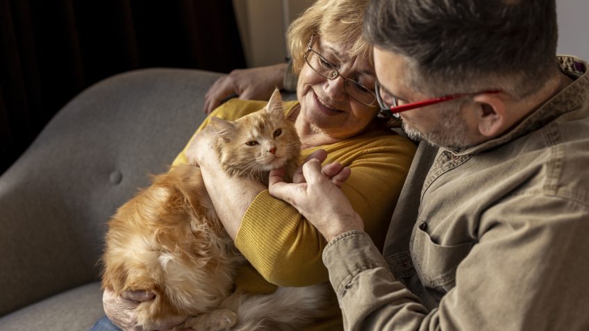 A couple sits on a sofa with their cat
